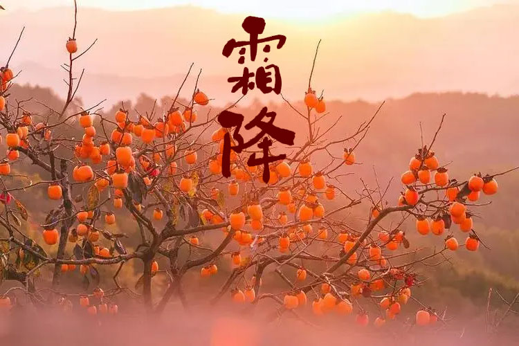 D(zhun)g˪һůƶﶬ